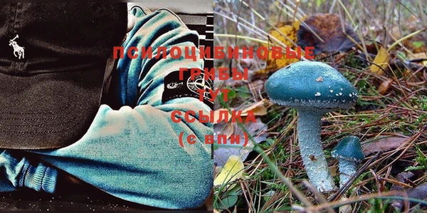 MDMA Арсеньев
