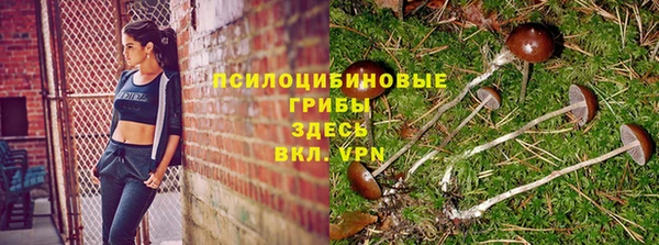 метадон Аркадак