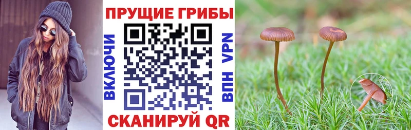 Псилоцибиновые грибы мухоморы Воткинск